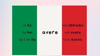 Italian verb: avere #learnitalian