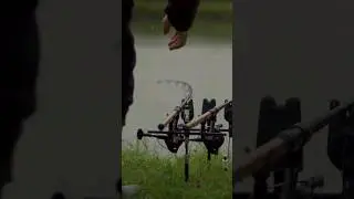 THAT'S A BITE!!! 🎣 