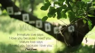 Tree Of Love   After Effets Templates, Projects File