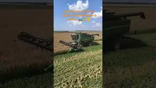 Уборка ярового рапса комбайном John Deere S670i  с 9 метровой жаткой.