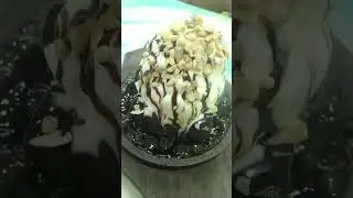 #shorts #sizzlingbrownie #sizzling #sizzlers #brownie #sweet #desert #foodiewhatsappstatus #icecream