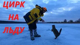 Зимняя рыбалка в глухозимье ! Щука на живца!№59