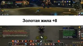 Золотая жила +8