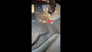 Что можно найти под задним диваном автомобиля? #shorts
