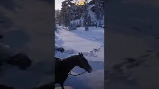 Drunk man with 22lr vs Bear  #gaming #rd2online #funny