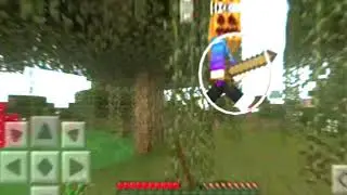 Minrcraft edit