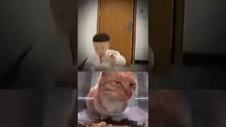 Get Ready to Laugh 7 😂 😆#shorts #youtubeshorts  #memes #viral