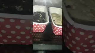 Dry Fruits Cake !! Dry Cake !! Chocolate Cake