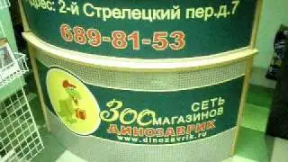 Зоомагазин Динозаврик 3