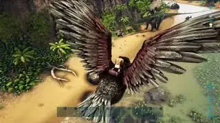 Ark Brothers Grimm - Episode 0: Fails and Bugs