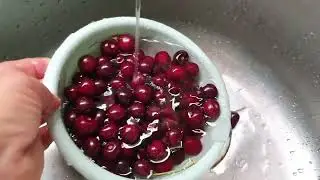 ЧЕРЕШНЯ 2022.  Урожай, борьба с вишневой мухой и дроздами