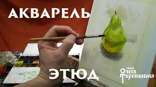 Акварель Этюд груши