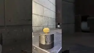 На все случаи ЖИЗНИ! 