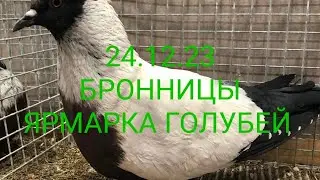 24.12.23 ЯРМАРКА ГОЛУБЕЙ. БРОННИЦЫ