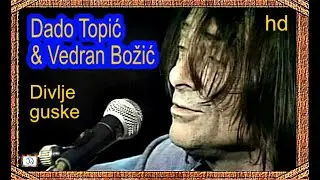 DADO TOPIĆ & VEDRAN BOŽIĆ - Divlje guske / Acoustic - Novi Sad / HD Remaster - 2024