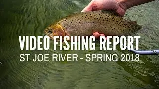 St Joe River - Video Fishing Report - Spring 2018
