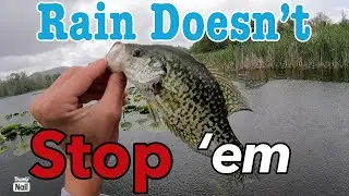 The RAIN Doesn't Stop The SLABS FROM BITING!!