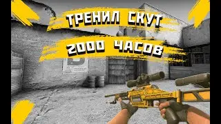 Когда тренил скаут 2000 часов +( Розыгрыш в описании)