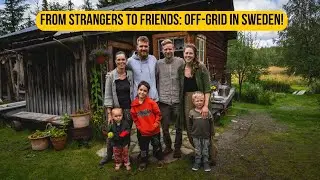 Off-Grid Life in Sweden: Wild Swimming, Sauna, and Moving Sheep with 