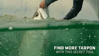 How to Find & Catch More Tarpon [Secret Tool]