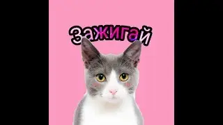 Avakin Life клип ☆《| Катя Адушкина - Зажигай|》☆