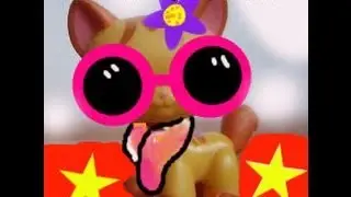 LPS Know your stars (new stuff you have to do)