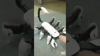 Robots inspired by Real Animals in Nature