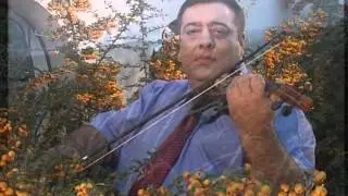 Maestrul Dumitrica  Doina