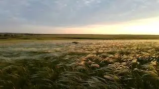 Природа Карабалыка Ксмсомольца.