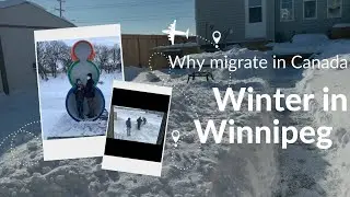 Winter in Winnipeg | Why migrate to Canada with this weather?