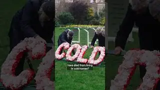 🚨 BREAKING: Activists have built a cemetery outside Parliament. COLD HOMES COST LIVES.