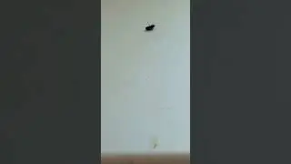 Муха брейкданс