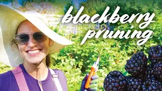 Pruning Blackberries: Spring, Summer, Fall & Winter