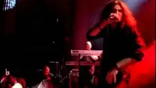 Alogia - Metamorfoza, SKC