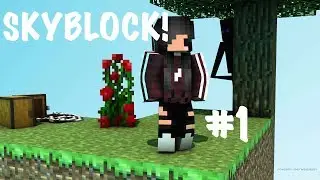 Minecraft | DustCraft SKYBLOCK #1 | I. Need. COAL!