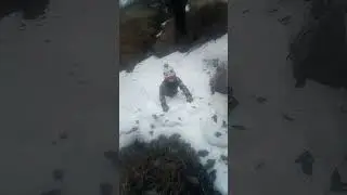 15 марта 2024 г.