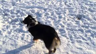 Java Slide
