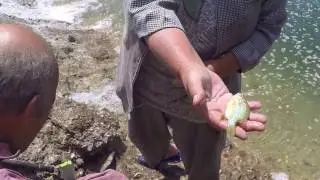 Рыбаки на плотине (Симферополь)
