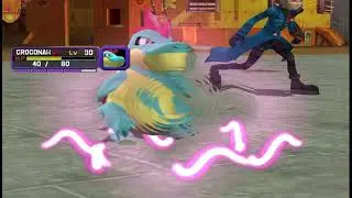 Dolphin Pokemon Colosseum -Test-