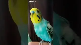 когда не видел моря!