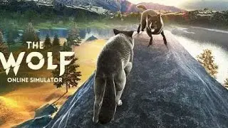 The Wolf так ли в неё играют подростки? Проверим!🧐