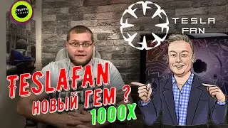 TeslaFan новый гем?  Кто стоит за проектом ?