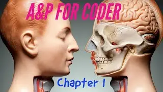 ANATOMY & PHYSIOLOGY FOR CODERS  - CHAPTER 01: SKELETAL SYSTEM.
