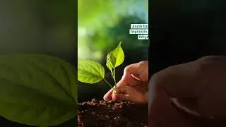 Dünya Günü