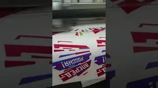 Печать и резка на принтере Roland.