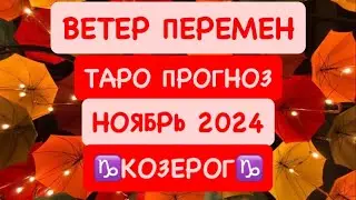 ♑️КОЗЕРОГ♑️ ВЕТЕР ПЕРЕМЕН .НОЯБРЬ 2024. ТАРО ПРОГНОЗ