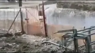 А ну, кыш отседова!!!!