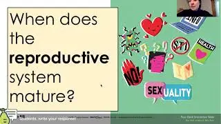 MS W8 D15 VIDEO Female Anatomy Lesson