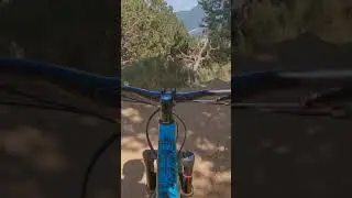 NORTH SHORE ♦️ Bike Park Les Angles #bikepark #bikeparklesangles #lesangles #mtb #vtt #vttdh #viral