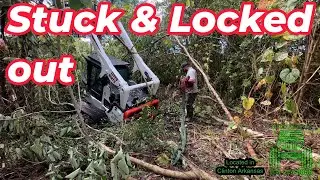 Stuck in a swamp